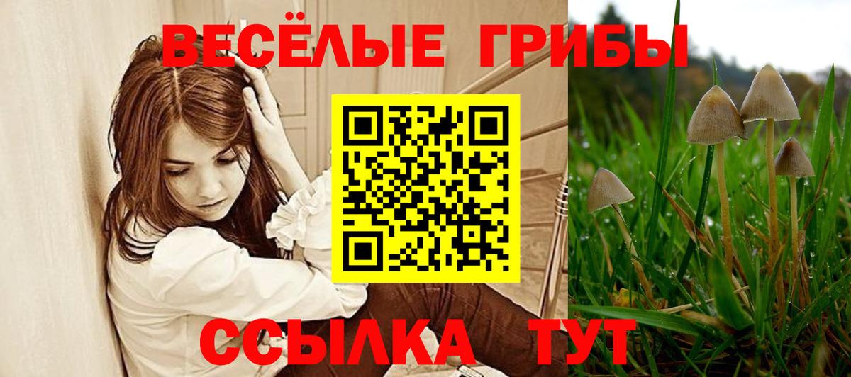 Псилоцибиновые грибы ЛСД Вологда