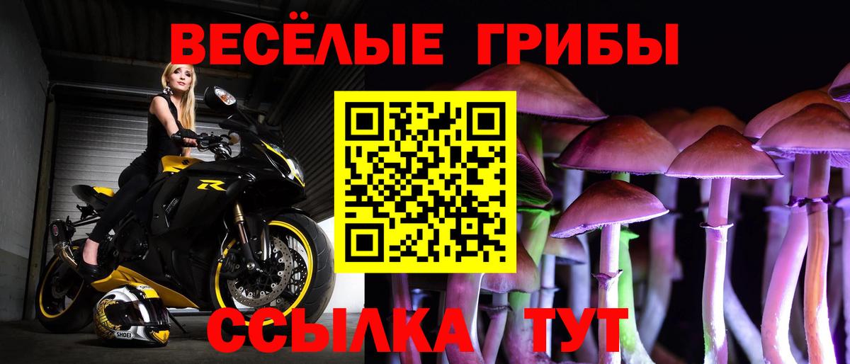 Галлюциногенные грибы мицелий  Вход с VPN  Вологда 