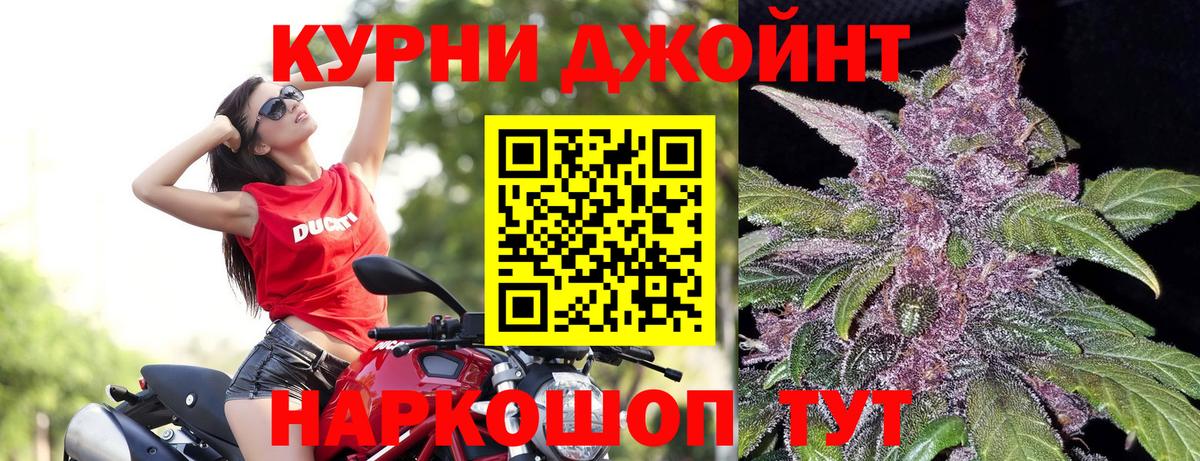 Шишки марихуана марихуана Вологда